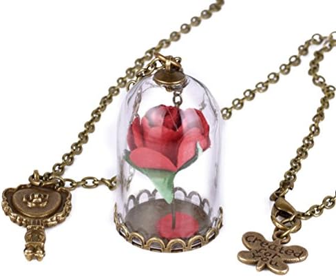 Vintage Glass Choker Pendant Necklace-BiilyLi Rose Necklace Retro Crystal Glass Vial Necklace Natural Dried Flowers Necklace for Women Jewellery (Red)