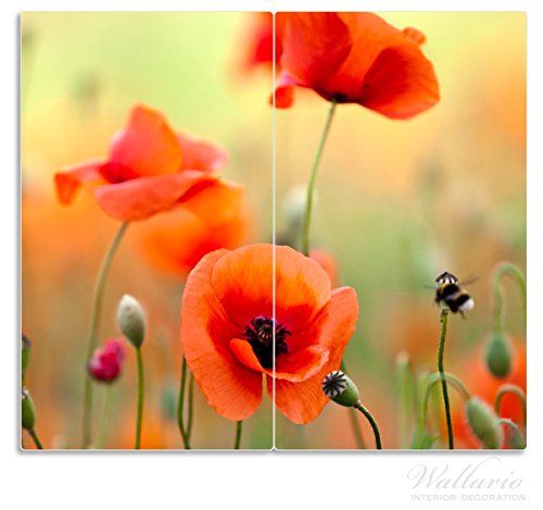 Wallario Herdabdeckplatte / Spritzschutz aus Glas, 2-teilig, 60x52cm, für Ceran- und Induktionsherde, Mohnblumenblüten