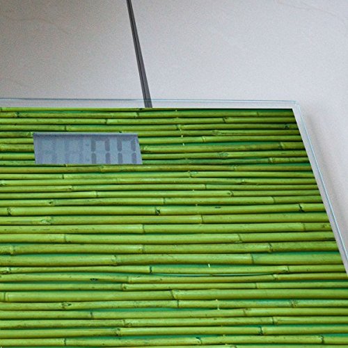 banjado – Personenwaage digitale Körperwaage 30cm x 30cm aus Glas mit Motiv Bambus Grün - 4