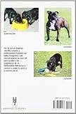 Image de Manual práctico del Staffordshier Bull Terrier : orígenes, estándar... (Manuales prácticos de perros)