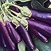 Produktbild PLAT FIRM GERMINATIONSAMEN: 100 - Seeds: Oriental Fingerlings Aubergine - Sooo gut !!!! Huge Renditen.Free Versand