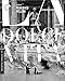 Criterion Collection: La Dolce Vita [Edizione: Stati Uniti]