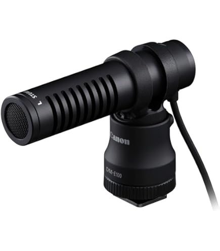 Canon DM-100 Directional Stereo Microphone: Amazon.co.uk
