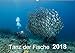 Produktbild Tanz der Fische (Wandkalender 2018 DIN A2 quer): Fischbälle - eine großartige Begegnung mit den verschiedensten Formen! (Monatskalender, 14 Seiten ) ... 11, 2017 - Yvonne & Tilo Kühnast, naturepics