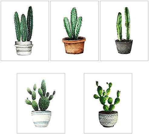 Modern Cactus Poster Print Art Watercolor Painting Succulent Green Plants Illustration Unframed 5pcs