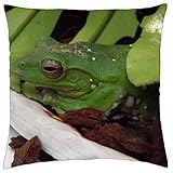Blancos de rana - Funda de cojín (18