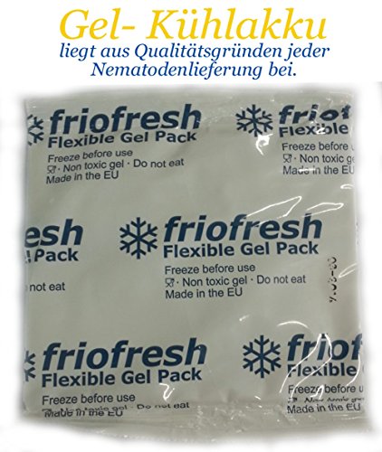 NemaTop Käferstopp zur nachhaltigen Bekämpfung des Dickmaulrüsslers - 3