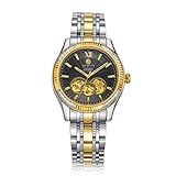 BINLUN Herren Analog Automatik Uhr mit Edelstahl Armband Wasserdicht FBL0048G-SGB-B