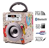 Biwond - Reproductor joybox pocket bluetooth guitar