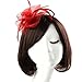 Discoball Elegant Flower Feather Headband Hat Fascinator Wedding Headwear Ladies Day Race Royal Ascot