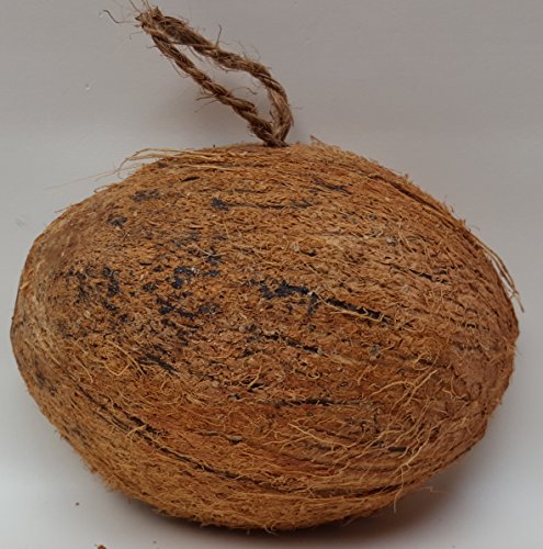 Halbe Kokosnuss gefüllt mit Fettfutter, Samenmischung, Mehlwürmer und Insekten für Wildvögel - 2