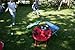 Z'ANI Chair Ladybird