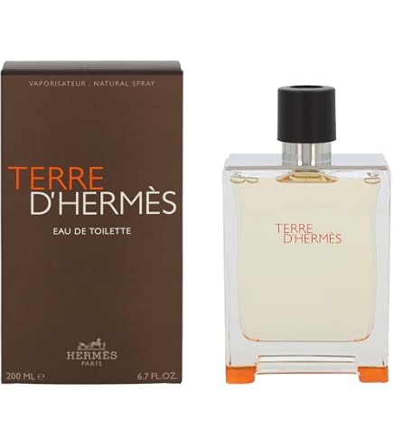 HERMES Terre d'Hermes Eau Givrée Man de Parfum 100 ml : Amazon.com