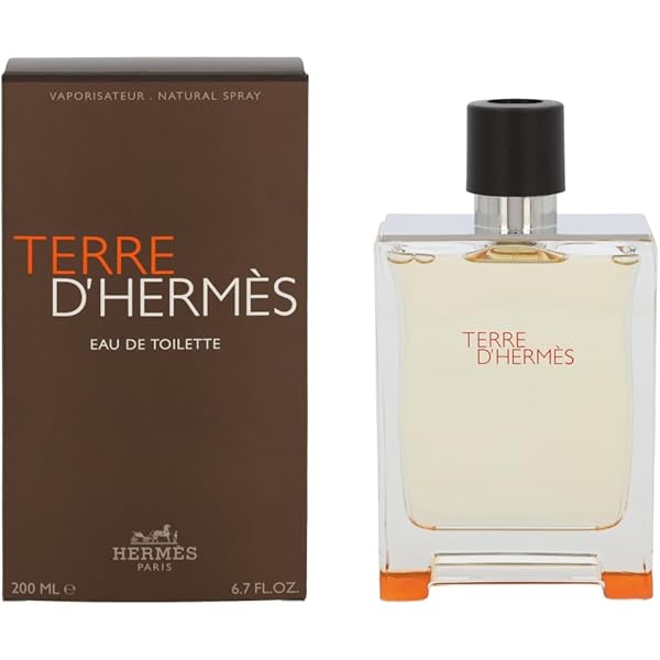 HERMES Terre d'Hermes Eau Givrée Man de Parfum 100 ml