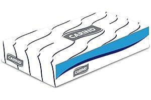 PAPERNET SUPERIOR VELINE FACCIALI DOPPIO VELO, 40 confezioni da 100 veline