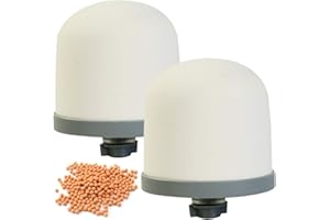 HUINING Ceramiczny filtr do wody kopuły, filtr zastępczy do urządzenia filtrującego przed napełnieniem wody zamiennik mediów 0,15 do 0,5 mikrona do domowego systemu filtracji wiadra wody dzbanek (2 szt.)…