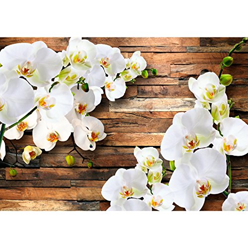Fototapete Orchidee 308 x 220 cm – Vliestapete – Wandtapete – Vlies Phototapete – Wand – Wandbilder XXL – !!! 100% MADE IN GERMANY !!! Runa Tapete 9057010a - 6