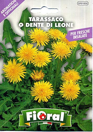 Semi di Tarassaco o Dente di Leone - Fioral