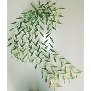 Namiba Terra 5925 Langblättrige Ficusranke, Seide, circa 85-90 cm