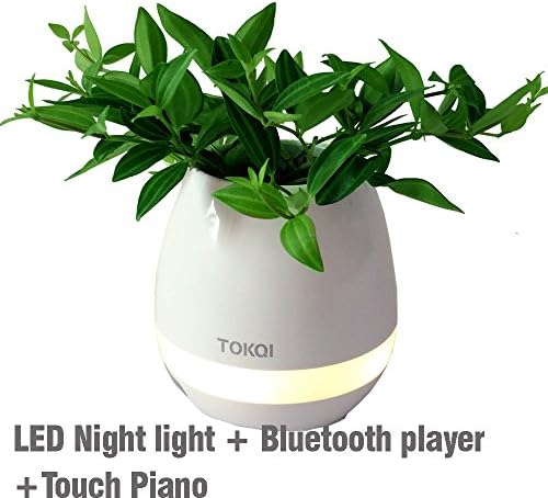Clear stock of LED Night Light Multi-Functional Colorful+Warm White as Table Lamp +Bluetooth Speaker+Touch Piano for Children+Round Flower Pot Decor