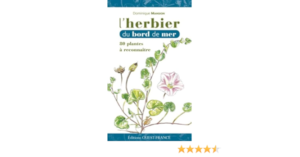 Amazon Fr L Herbier Du Bord De Mer Mansion Dominique Livres Amazon Fr L Herbier Du Bord De Mer Mansion Dominique Livres