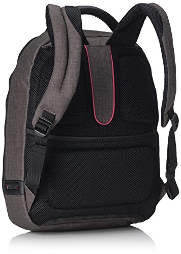 Samsonite Pro-DLX 4 SP Leisure Backpack, grey (Grey) - 67949-2116