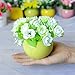 Produktbild WANG-shunlida Fake Blumen Kunstseide Blume Simulation Package Zähler Schreibtisch Anzeige Home Ausstattung Dekorative Keramik Topfpflanzen Blume Pflanzen, Xs