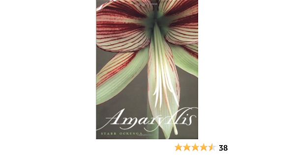 Amazon Fr Amaryllis Ockenga Starr Livres