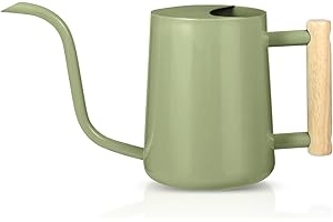 GUKJOB Watering Can for Indoor Plants, 35oz Small Stainless Steel Metal Pot With Long Spout - Modern Decorative for House Plant, Bonsai, Outdoor Garden Flowers - Sage