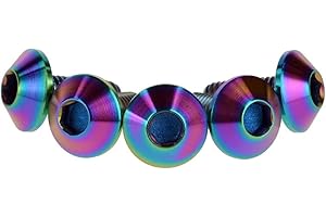 Ruifu M6 Gr5 Titanium Allen Head Ti Bolts Screws 12 15 20 mm for Motorcycle Bicycle License Plate (Pack of 5)