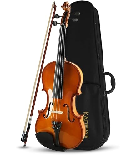 Infinity Colour Violin 4/4, Blue : Amazon.in: Musical Instruments