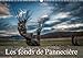 Les Fonds De Panneciere...