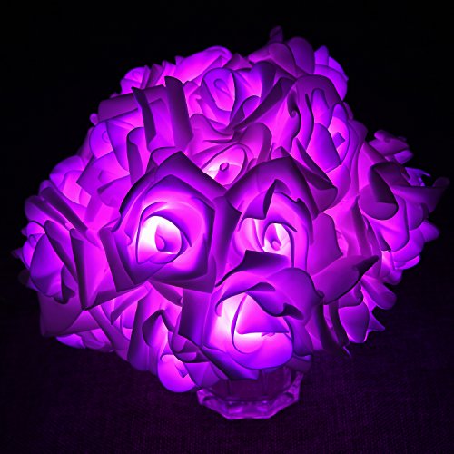 Denknova®LED Lichterkette, Rusee 20 LED Rosen Lichterkette Batteriebetrieben Innen Im Freien Beleuchtung für Garten Rasen Bar Verein Hochzeit Valentinstag Weihnachten Schlafzimmer Innendekoration (20 LEDs, lila) - 5