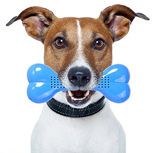 SlowTon-Pet-Dog-Chew-Toy-Arctic-Cooling-Freeze-Fetch-Food-Teething-Chew-Puzzle-Training-Dumbbell-and-Teeth-Cleaning-Treat-Tooth-Gums-Massage-Grinding-Rubber-Chew-Toy-Bone-for-Pet-Dogs-Pals