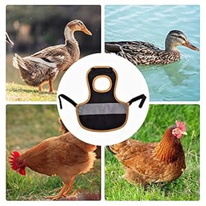 Chaleco Para Mascotas Ropa De Aves De Corral Delantal De Silla De Montar De Gallina Soporte De Protección De Plumas Para Pato De Pollo Correa Única Conjunto De Caqui Grande Protector De Espalda De Ala