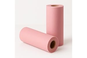 TERRYSHOP74 40 pezzi tovagliette in tnt misura 30x40 grammatura 60gr colorate per colazione pranzo tavola imbandita 2 rotoli da 20 pezzi (40, Rosa)