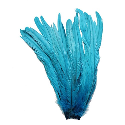 ERGEOB Natur Dekoration Hahn Schweif Feder schwarz weiß braun 30-35cm/ 12-14 Zoll länge, Ideal für Kostüme, Hüte, basteln, Zuhause Dekor, DIY blau 20 stück
