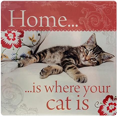 Kitchen Towels Home is Where Your cat is