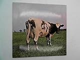  Atom Heart Mother - EMI Text