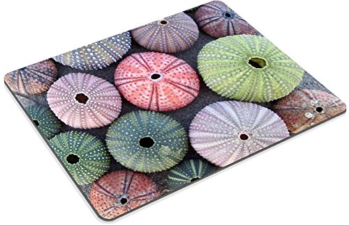 Liili Mauspad Naturkautschuk Mousepad Vielzahl der bunten Seeigel auf nassen Sand Bild-ID 19057457 - 2