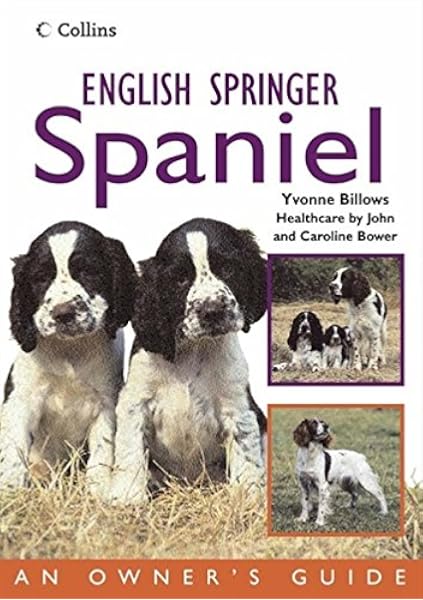 pedigree springer spaniels for sale