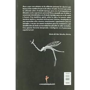 Paso a paso: Razones para subir montañas