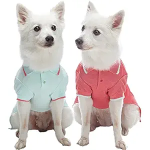 Blueberry Pet Pack of 2 Back to Basic Cotton Blend Dog Polo Shirts in Mint Blue and Terra Cotta Red, Back Length 10