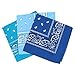 Produktbild Set 3 bandanas paisley damen und herren türkis, hellblau, blau