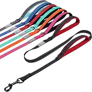 Vivaglory Dog Training Leash with Double Padded Handle, Heavy Duty 6ft Long Nylon Reflective Safety Traffic Handle Leash Walking Lead for Small to Medium Dogs, Black