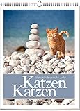 Katzen Katzen: literarisch durchs Jahr 2018. Literarischer Katzenkalender. Vierfarbiger Wochenwandkalender, Format 24 x 30 cm by 