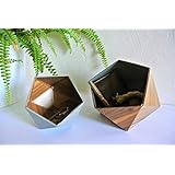 Boîtes Origami bois noueux et gris mat