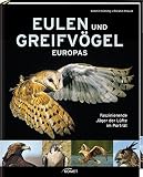 Image de Eulen und Greifvögel Europas: Faszinierende Jäger der Lüfte im Porträt
