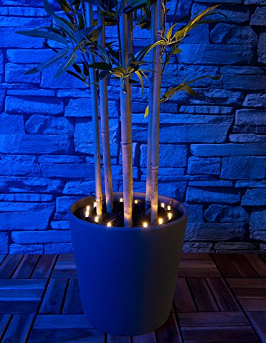 Lunartec Solar-Rundum-Licht für Pflanzen, 15 LEDs, Dämmerungssensor, IP44 - 8