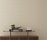 4:Tiene cierta resistencia, apariencia hermosa y buena resistencia al agua, y se usa ampliamente en la decoración de interiores de casas, oficinas y hoteles.